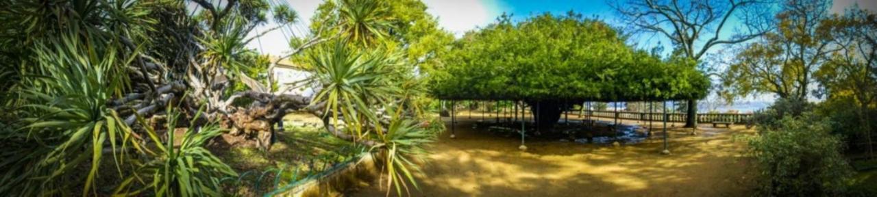 Retreat View Tagu River Lisbon Luaran gambar